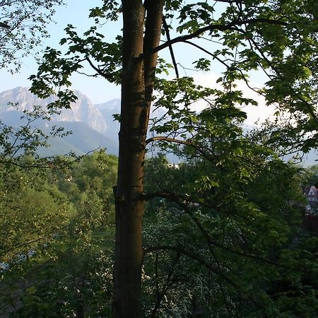 Apartament Cicha Woda Zakopane Rum bild